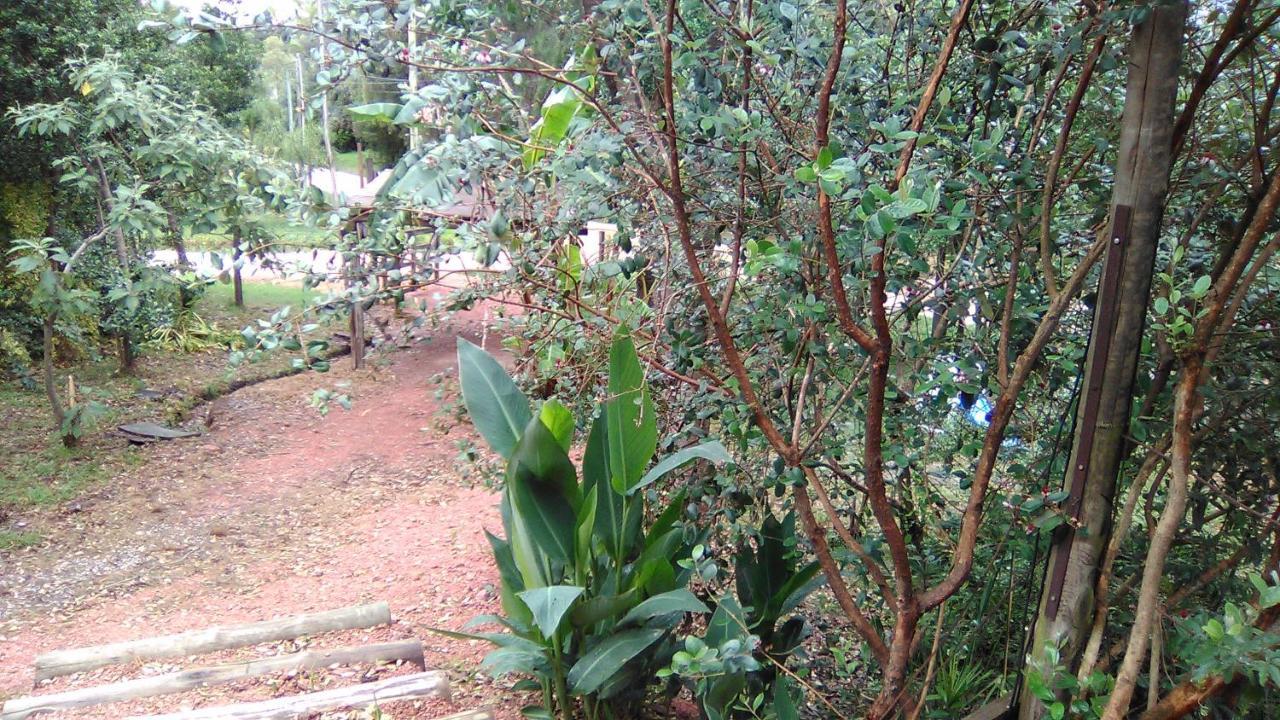 Villa Morro del Tesoro II Punta del Este Esterno foto